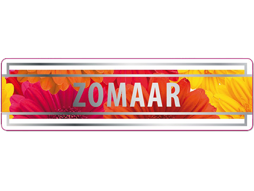 Etiket Rechthoekig 70x20mm Zomaar 500 stuks