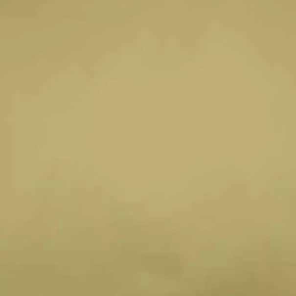 Luxe Geschenkzak 10x16cm Goud