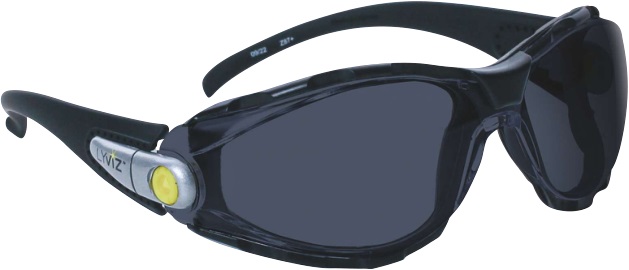 Veiligheidsbril Pacaya donker Premium