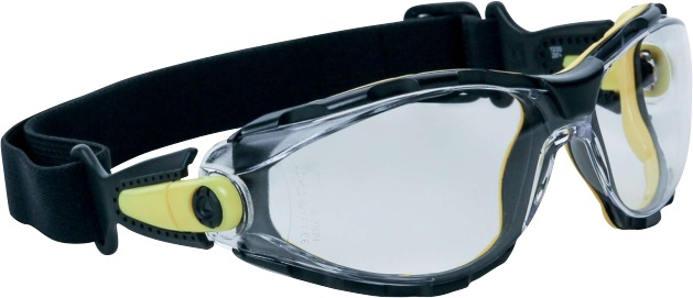 Veiligheidsbril Pacaya helder elastische hoofdband Premium
