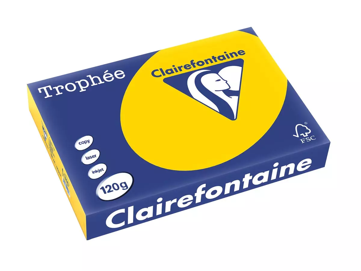 Printpapier A4 120 gram Goudgeel 250 vellen