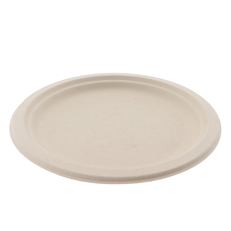 Bord suikerriet rond Ø23cm 1-vak (doos à 10x50st)