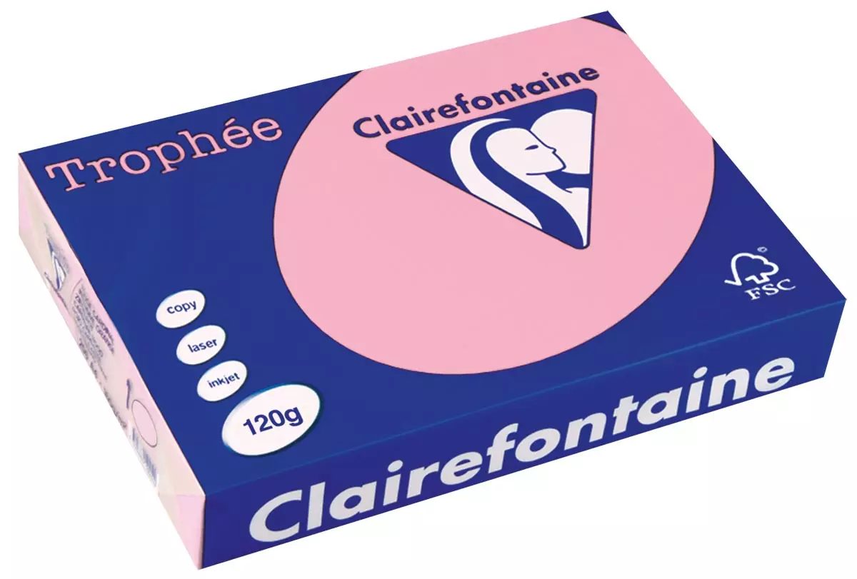 Printpapier A4 120 gram Roze 250 vellen