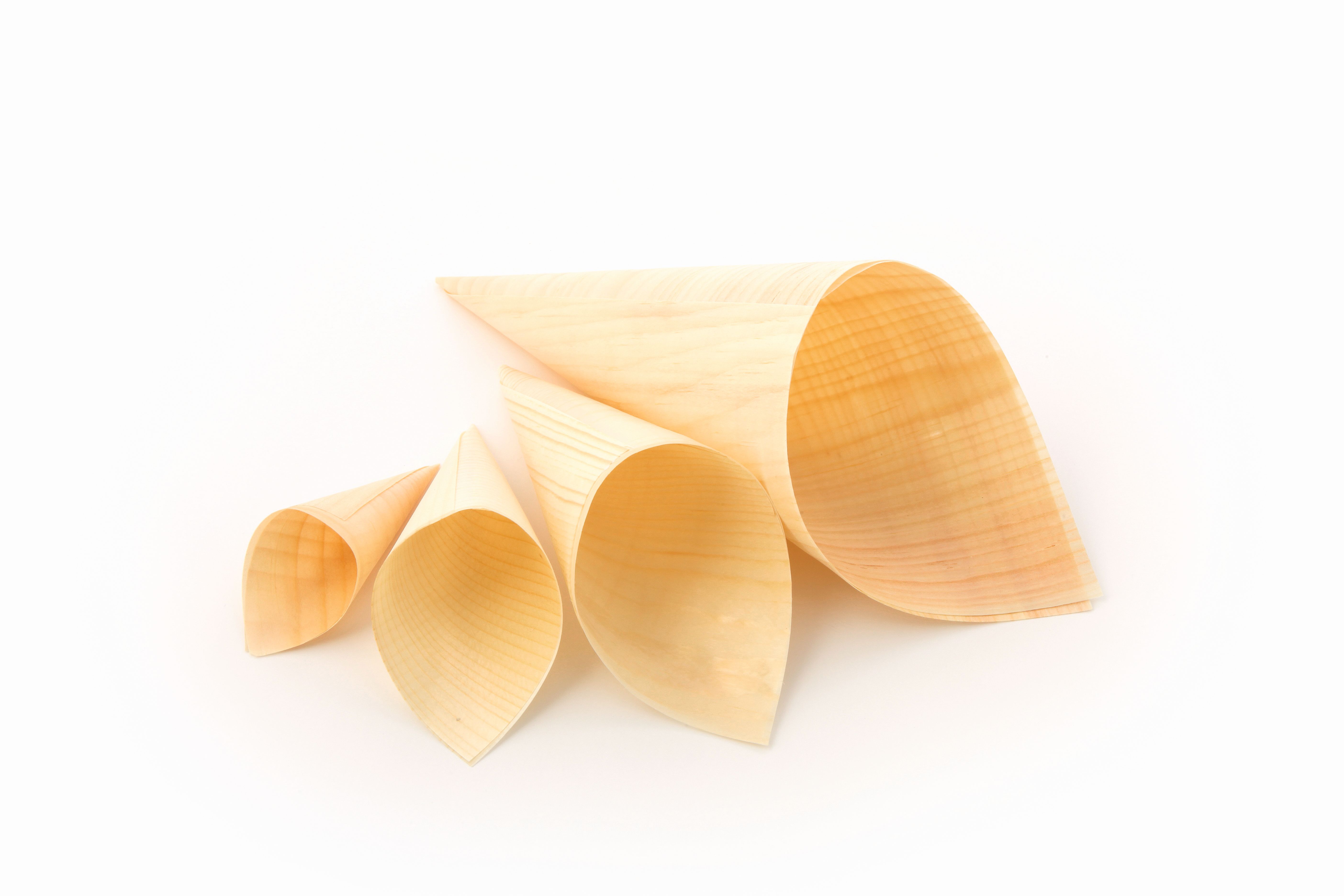 Puntzak hout 4,5x9/13cm 50062 (pak à 100st)